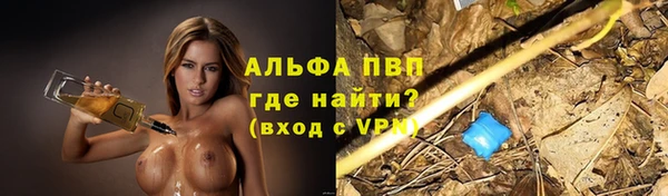 PSILOCYBIN Абдулино