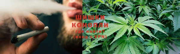 дурь Алексеевка