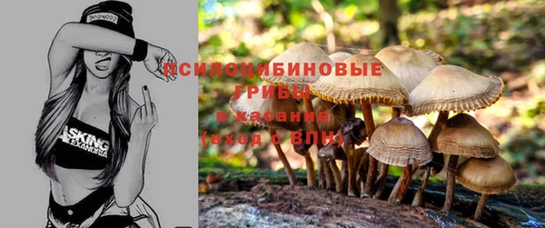 кокаин премиум Алексин