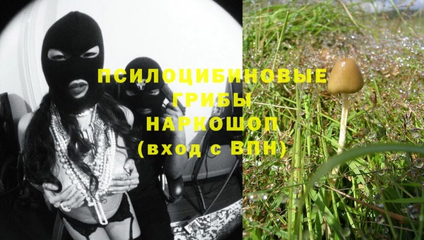 мяу мяу мука Кулебаки