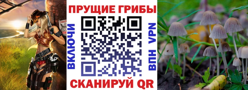 дарк нет как зайти Чебоксары Галлюциногенные грибы ЛСД